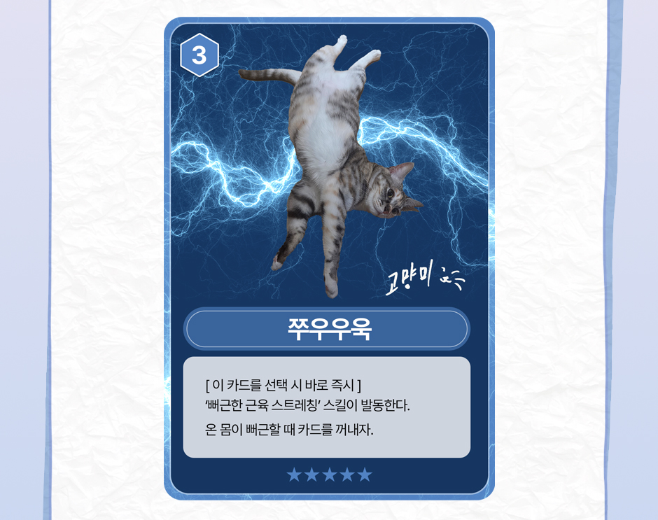 카드 3