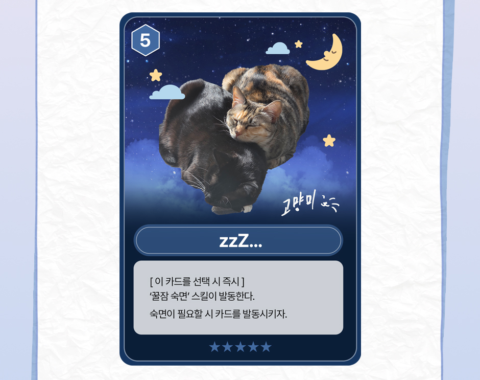 카드 5