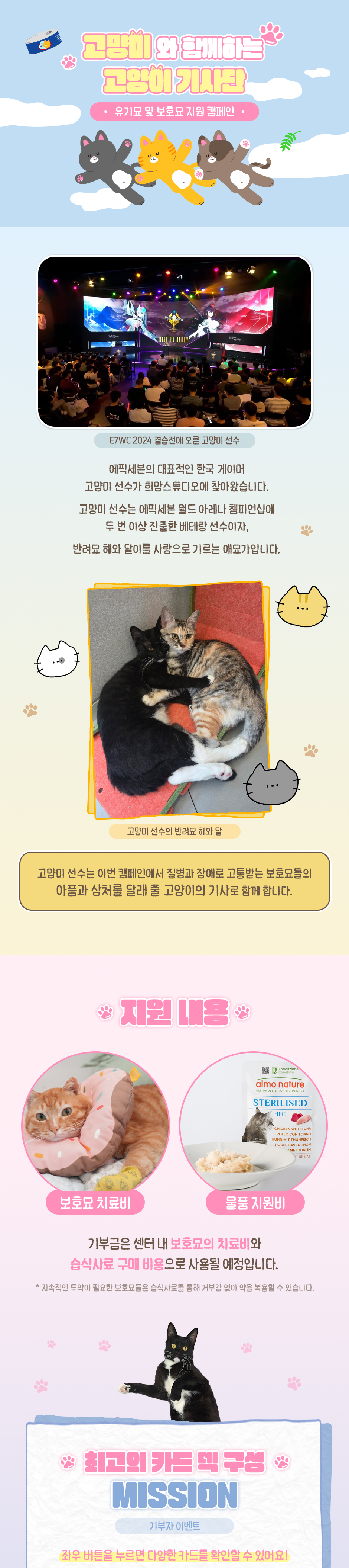 상세페이지 상단