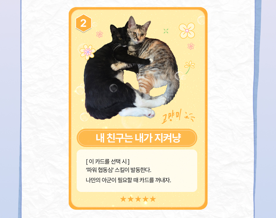 카드 2